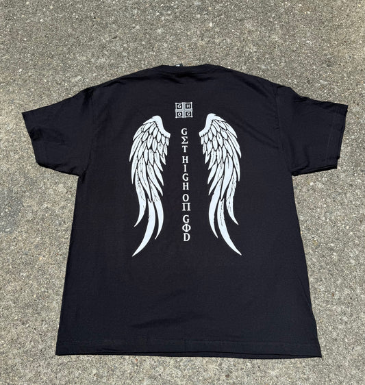 Ancient Angel Wings